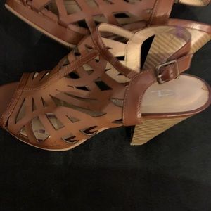 Brown and tan adverse heel.